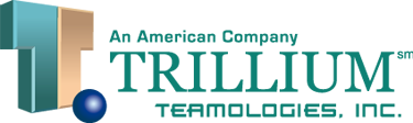 Email Marketing Case Study – Trillium Teamologies, Inc.
